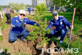 Экологические инициативы