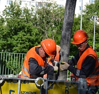 Участие в конкурсе «Московские мастера»