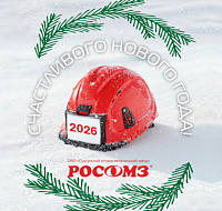 С наступающим Новым 2026 годом!